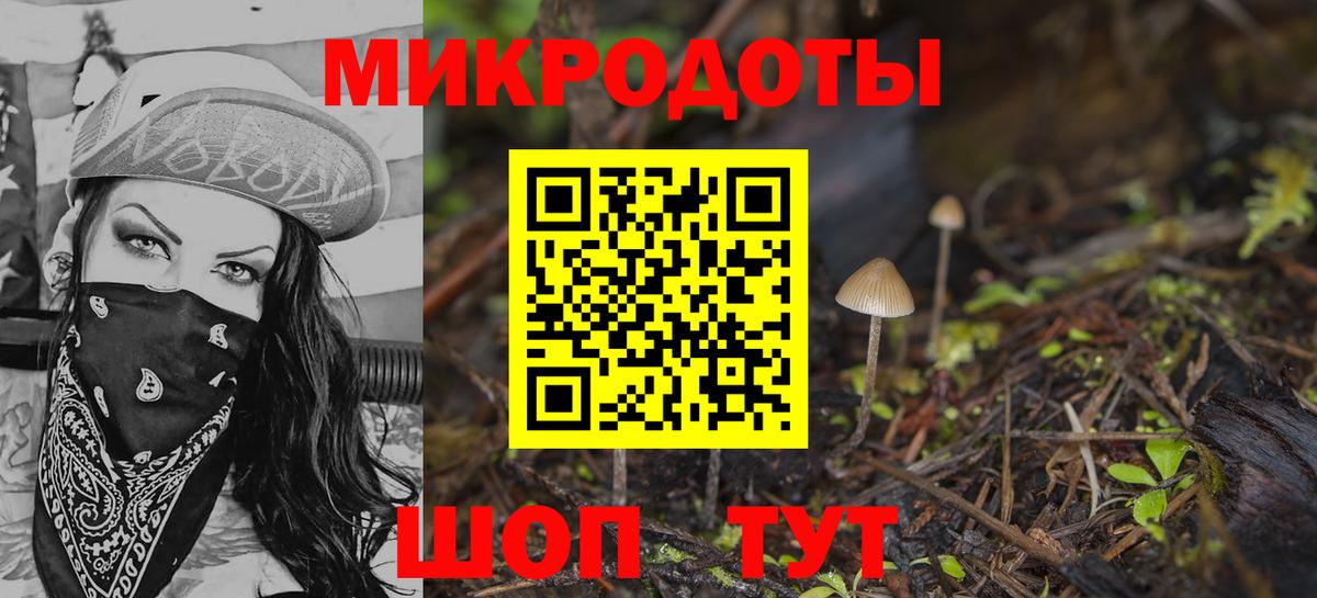 Псилоцибиновые грибы Cubensis  Вход с VPN  что такое   Алейск 