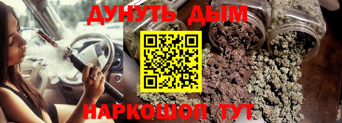 Бошки марихуана LSD WEED  Вход с VPN  Конопля сатива  Каннабис планчик  Канабис сатива  Алейск 